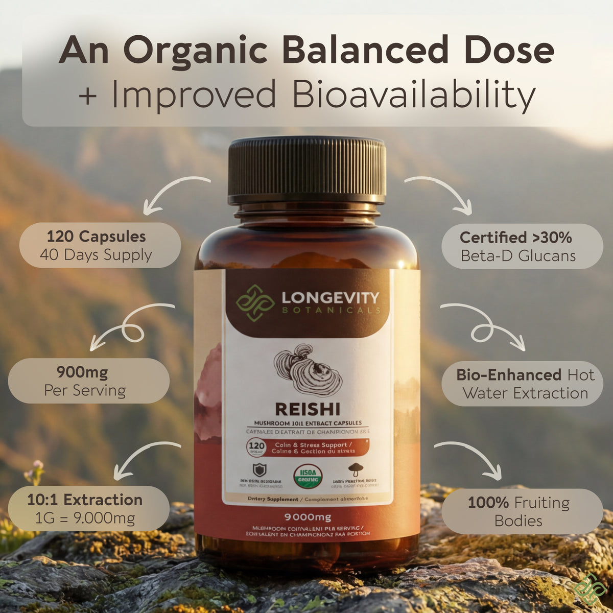 Organic Reishi Capsules Mushroom 10:1 Extract, image 2