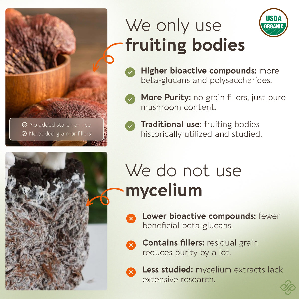 Organic Reishi Capsules Mushroom 10:1 Extract, image 3