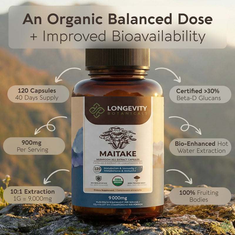 Organic Maitake Capsules Mushroom 10:1 Extract, image 2
