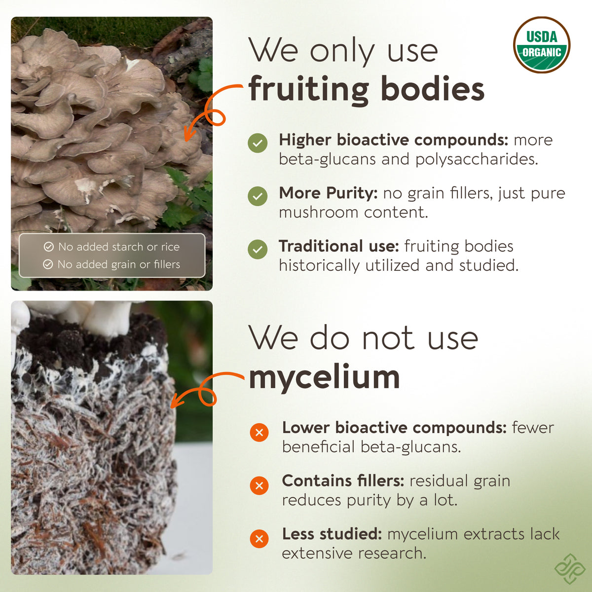 Organic Maitake Capsules Mushroom 10:1 Extract, image 3