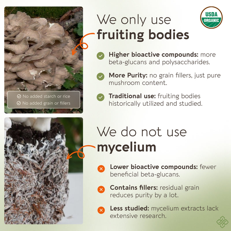 Organic Maitake Capsules Mushroom 10:1 Extract, image 3