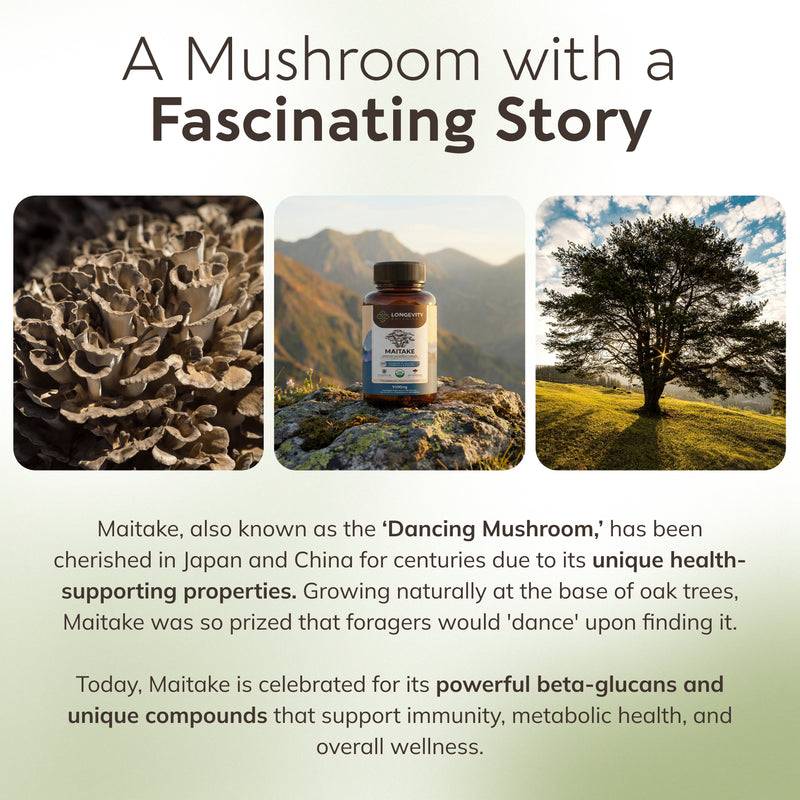 Organic Maitake Capsules Mushroom 10:1 Extract, image 8
