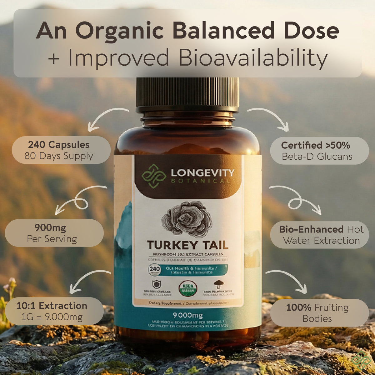 Organic Turkey Tail Capsules Mushroom 10:1 Extract, image 2