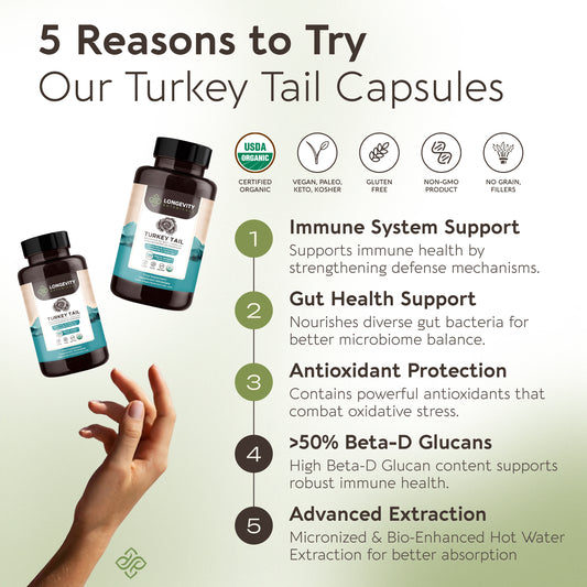 Organic Turkey Tail Capsules Mushroom 10:1 Extract (120 Count) Gut & Immune Health Booster - LongevityBotanicals Mushrooms