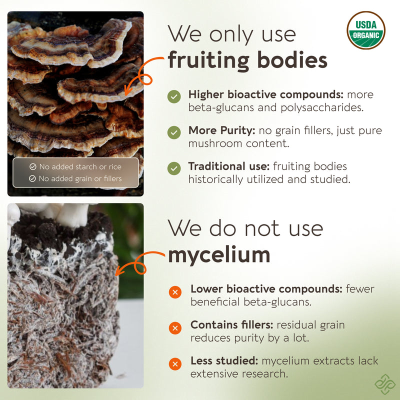 Organic Turkey Tail Capsules Mushroom 10:1 Extract, image 3
