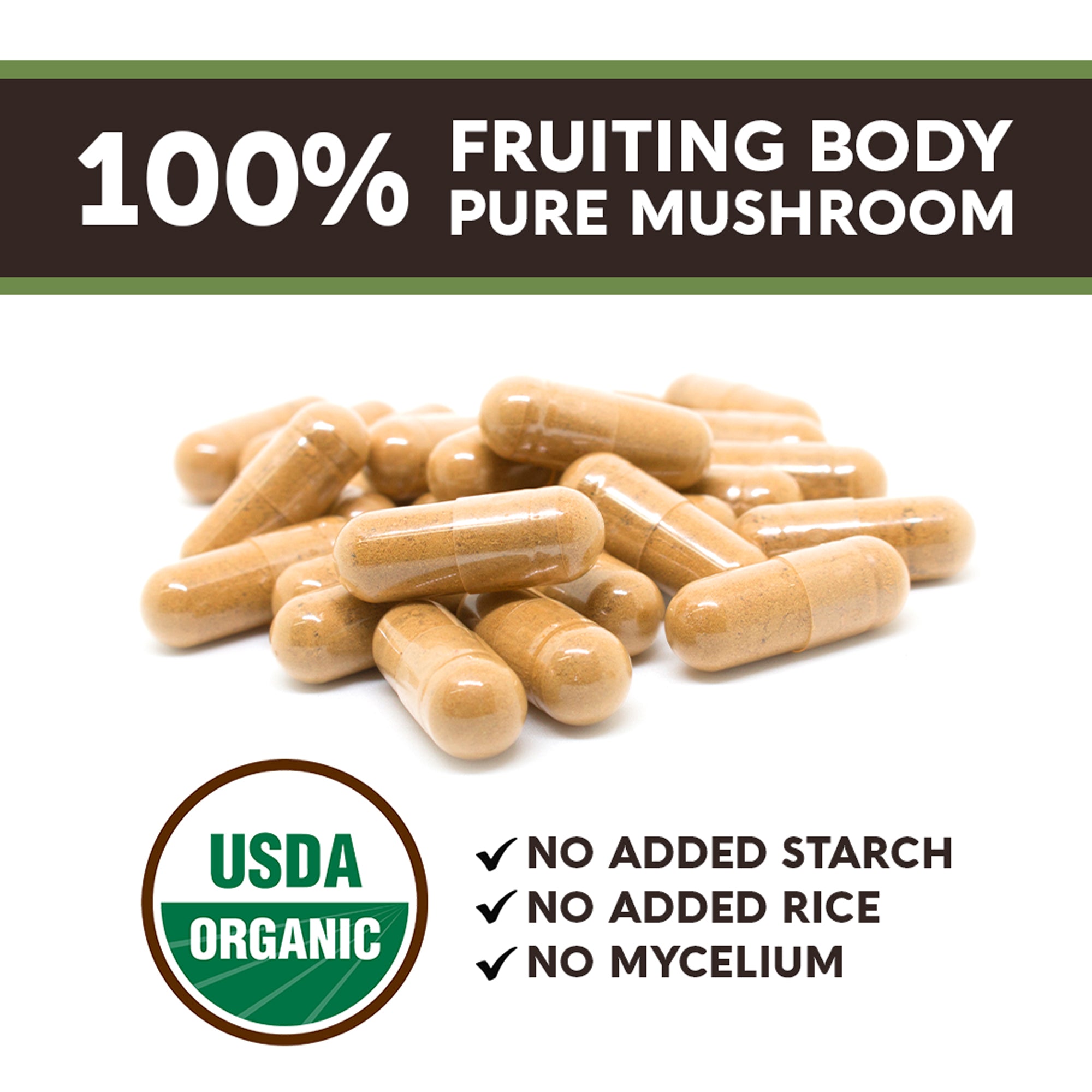 Organic Turkey Tail Mushroom Extract Capsules 240 Count Longevitybotanicals