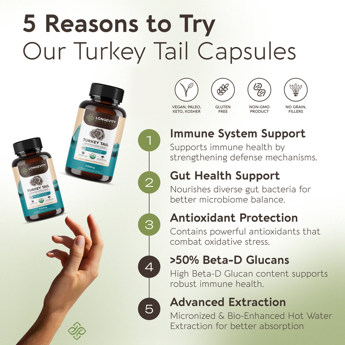 Organic Turkey Tail Capsules Mushroom 10:1 Extract, image 5