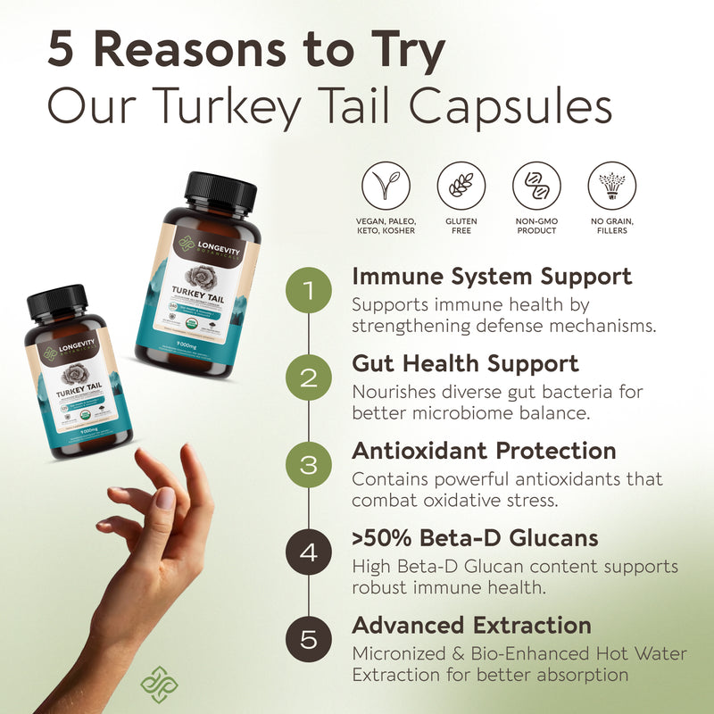 Organic Turkey Tail Capsules Mushroom 10:1 Extract, image 5