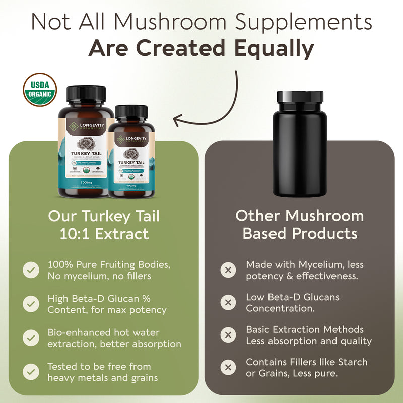Organic Turkey Tail Capsules Mushroom 10:1 Extract, image 6