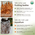 Bulk Cordyceps Powder Mushroom 10:1 Extract (1 KG / 2.2 LB) (Organic) - LongevityBotanicals Mushrooms