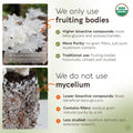 Bulk Tremella Powder Mushroom 10:1 Extract (1 KG / 2.2 LB) (Organic) - LongevityBotanicals Mushrooms