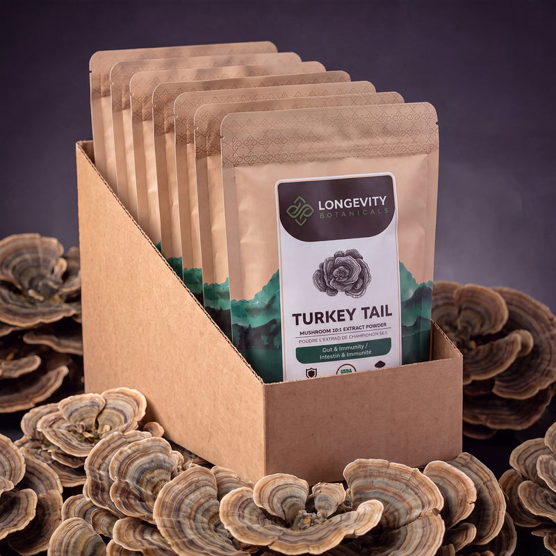 Organic Bulk Turkey Tail Powder - Mushroom 10:1 Extract