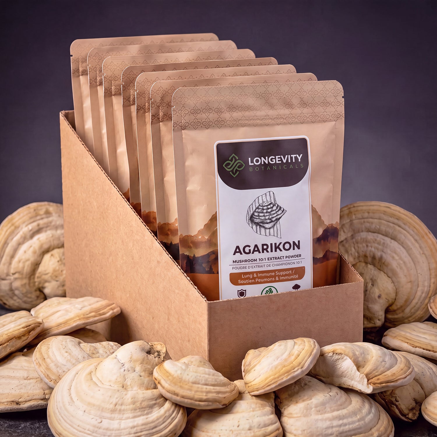 Wildcrafted  Bulk Agarikon Powder Mushroom 10:1 Extract (1 KG / 2.2 LB) (Wildcrafted) (10 Bags)