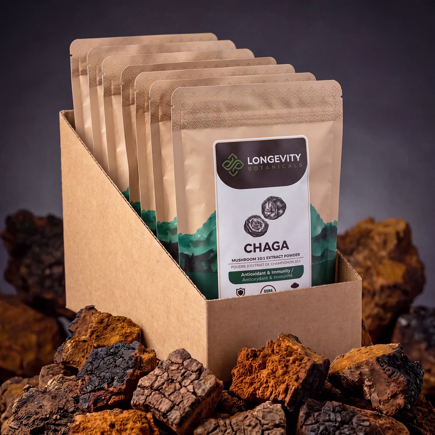 Bulk Chaga Powder Mushroom 10:1 Extract (1 KG / 2.2 LB) (10 Bags)