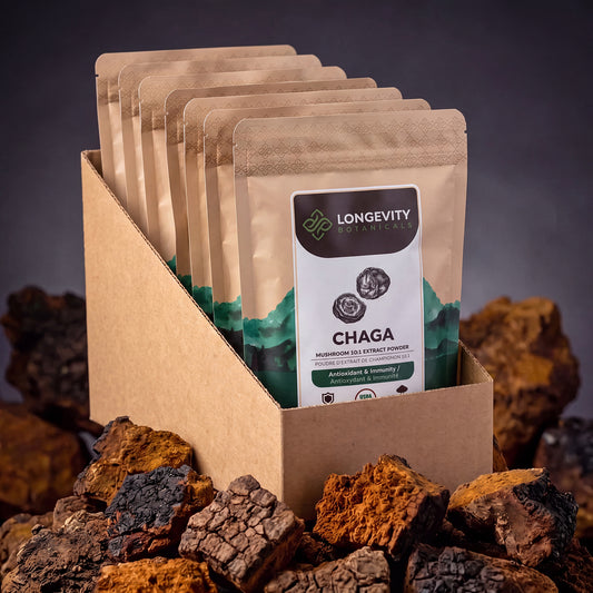 Bulk Chaga Powder Mushroom 10:1 Extract (1 KG / 2.2 LB) (10 Bags)