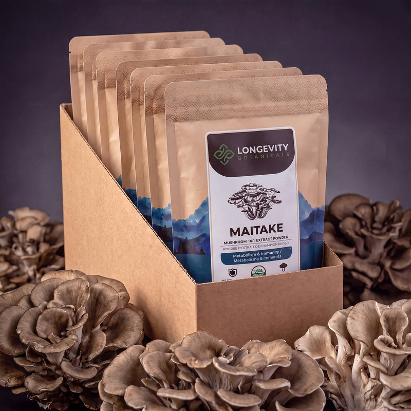 Organic Bulk Maitake Powder Mushroom 10:1 Extract