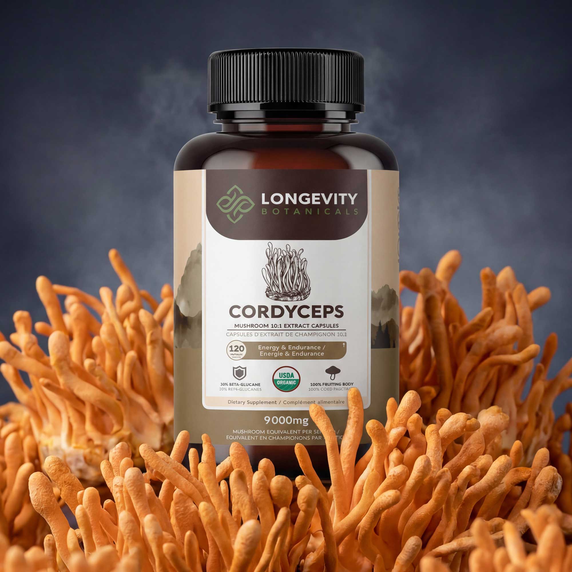 Organic Cordyceps Capsules Mushroom 10:1 Extract