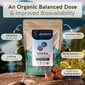 Organic Chaga Mushroom Powder 10:1 Extract. Immune System & Cellular Health Aid (3.5oz / 100g) - LongevityBotanicals Mushrooms