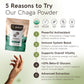 Organic Chaga Powder Mushroom Extract (100g) Immune System & Cellular Health Aid