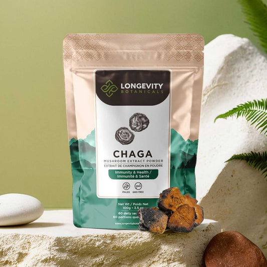 Chaga Mushroom Powder 10:1 Extract. Immune System & Cellular Health Aid (3.5oz / 100g)