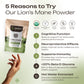 Organic Lion's Mane Mushroom Powder 8:1 Extract. Fuel for a Sharper Mind (3.5oz / 100g)