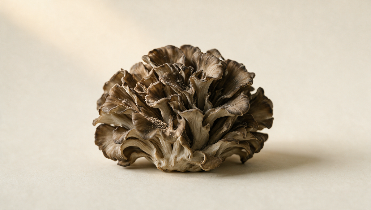 Maitake