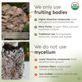 Bulk Maitake Powder Mushroom Extract (1 KG) (Organic) - LongevityBotanicals Mushrooms