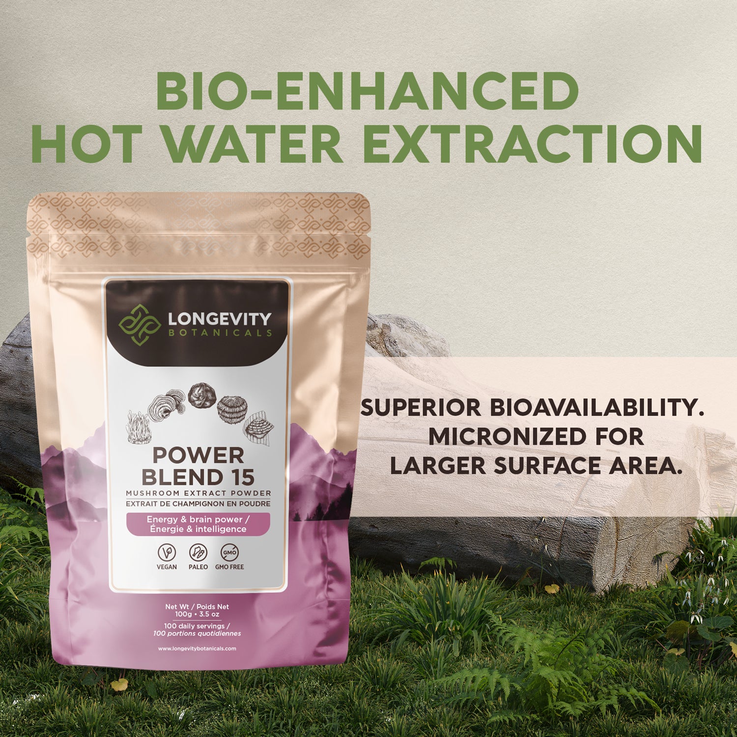 Power Blend 15 Mushroom Powder 10:1 Extract. All in One Body & Mind Support (3.5oz / 100g) - LongevityBotanicals Mushrooms