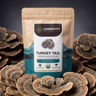 Organic Turkey Tail Mushroom Powder 10:1 Extract