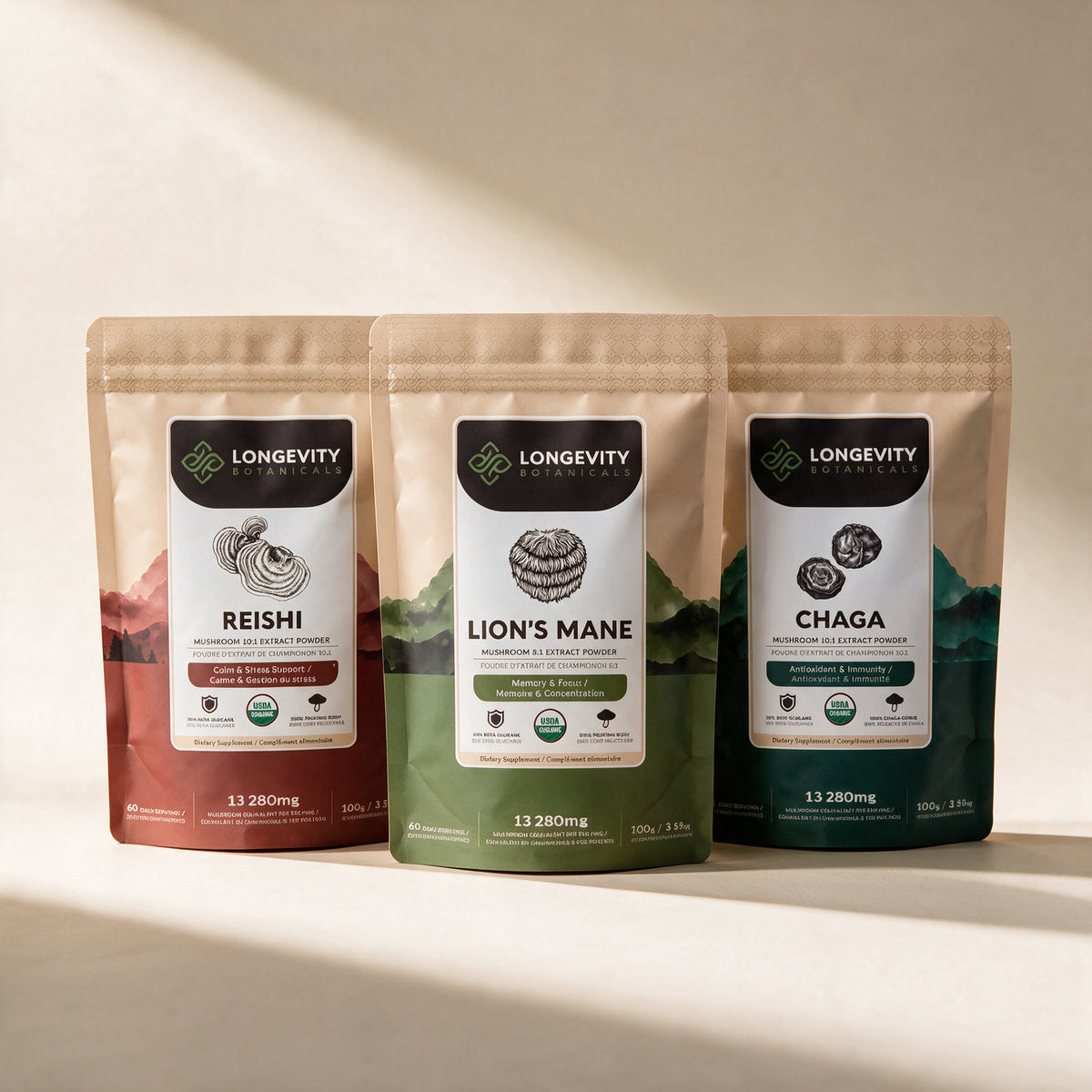 Steady mushroom extract powder bundle