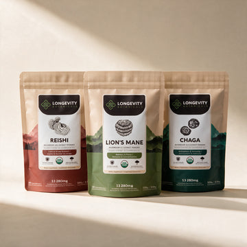 Steady mushroom extract powder bundle