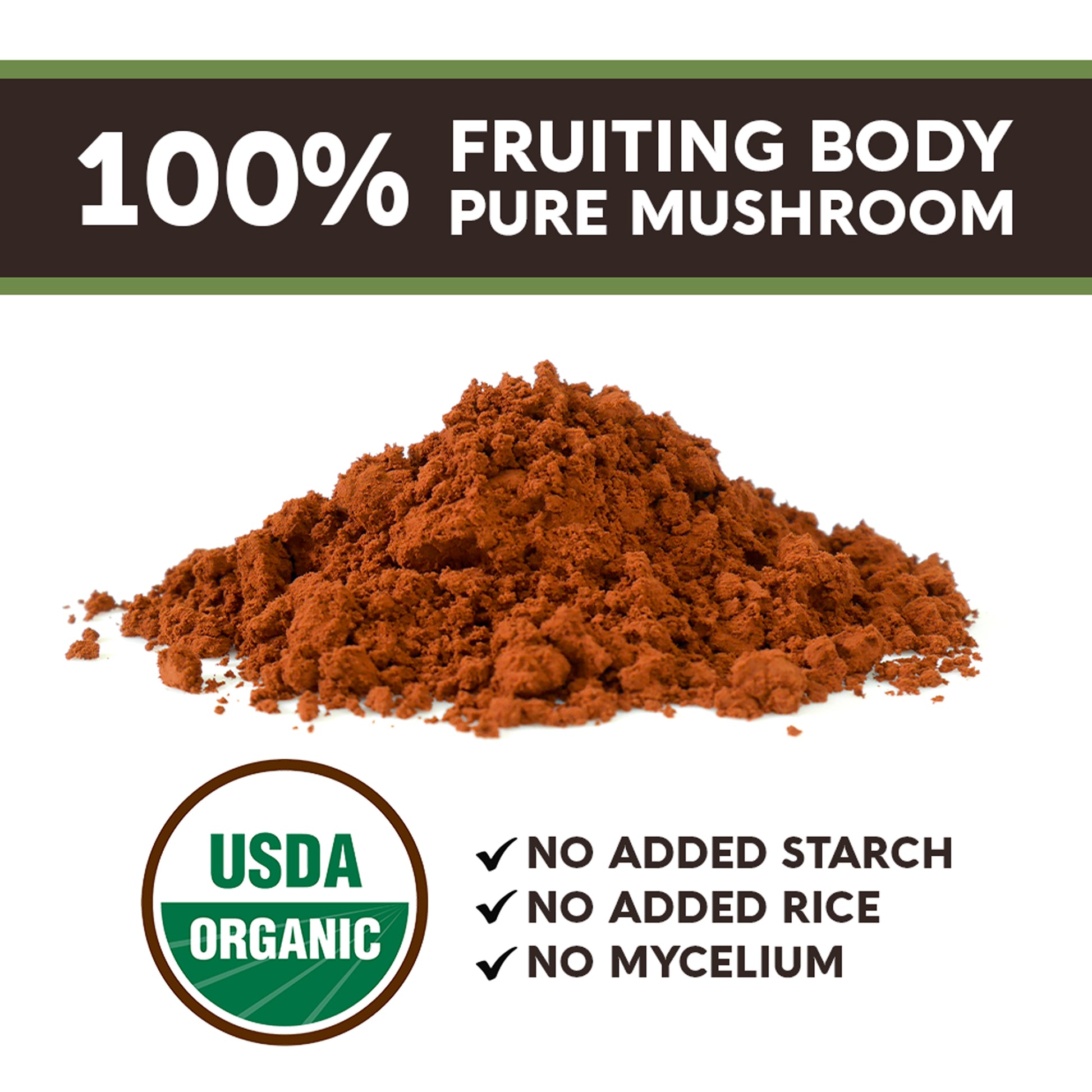 Organic Chaga Mushroom Extract Powder (100 Grams) - Immune System & Cellular Health Aid - LongevityBotanicals Mushrooms