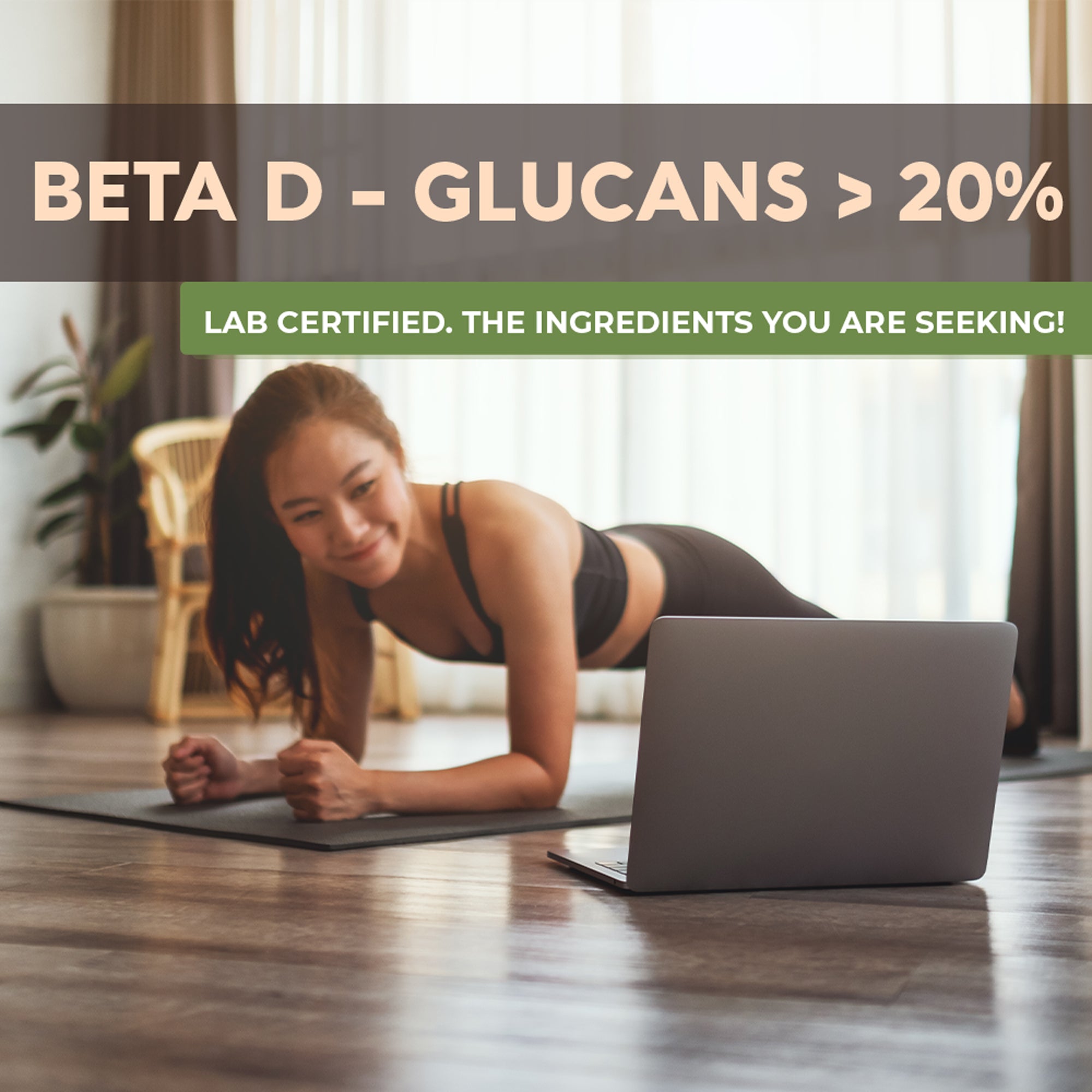 Power Blend 15 Mushroom Powder 10:1 Extract. All in One Body & Mind Support (3.5oz / 100g) - LongevityBotanicals Mushrooms